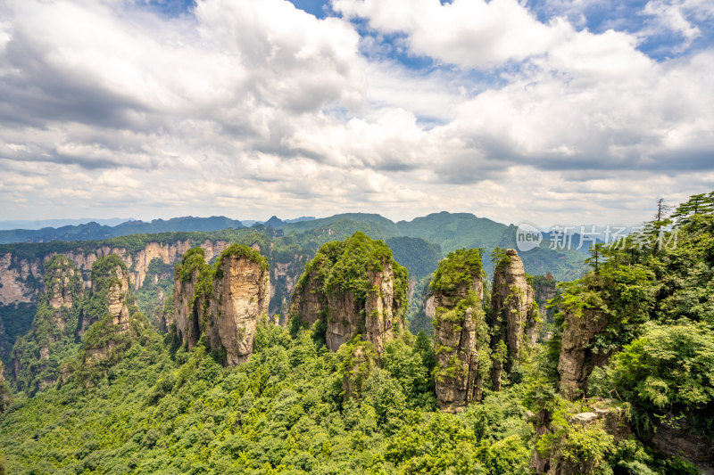 中国湖南张家界景区奇特山峰与茂密森林