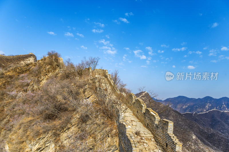 春天早晨北京明长城箭扣长城与山杏花