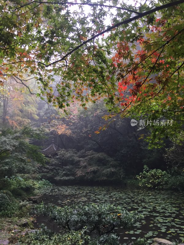 雾气笼罩下的多彩山林湖泊景色