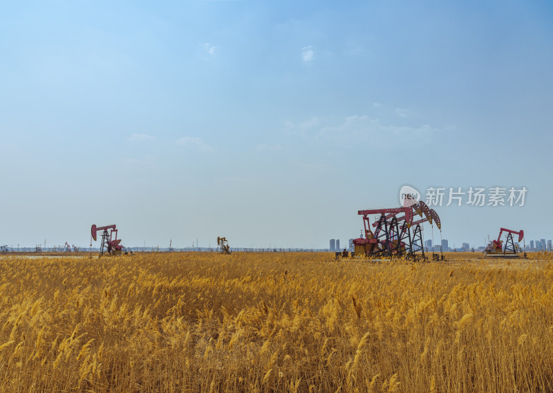中国黑龙江大庆油田抽油机