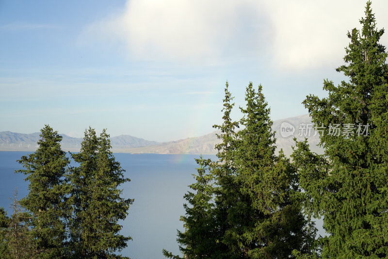 有彩虹的湖边森林风景