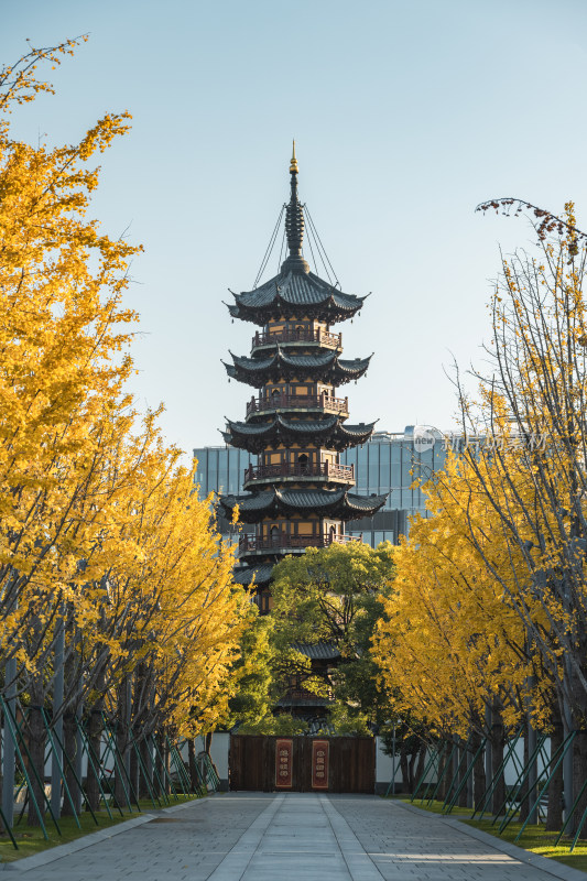 龙华寺航拍 上海 徐汇 秋天 寺庙