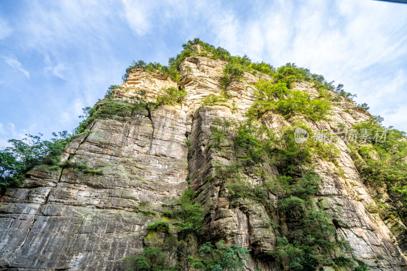 中国湖南张家界景区奇特山峰与茂密森林