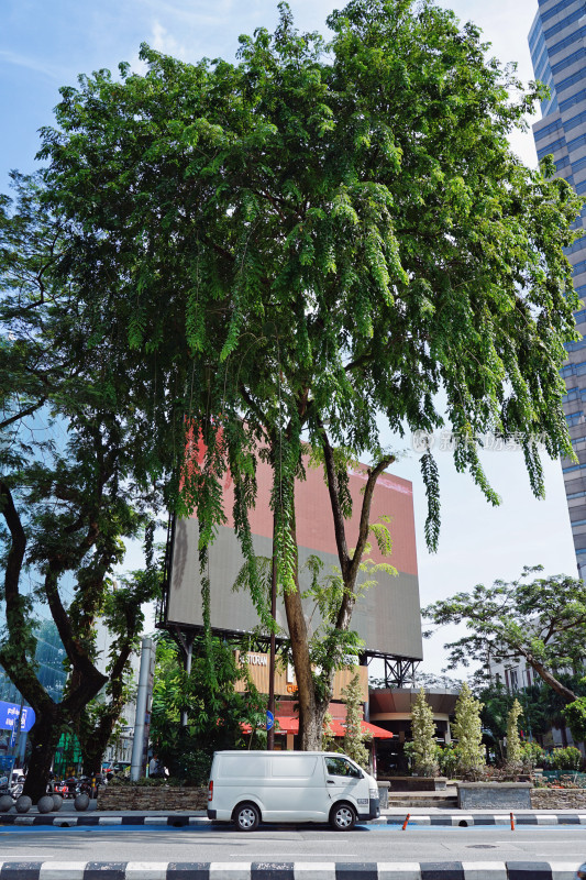 吉隆坡街景，繁茂大树与白色货车