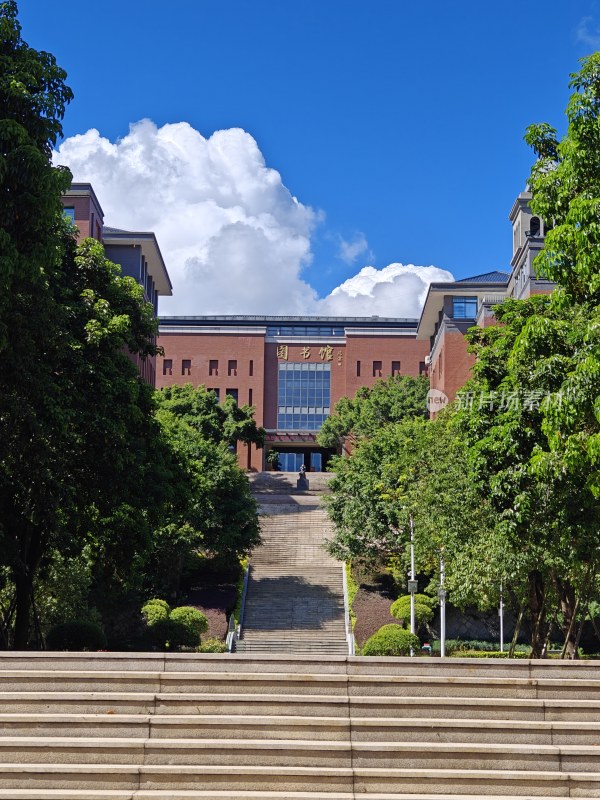 大学校园图书馆前景观