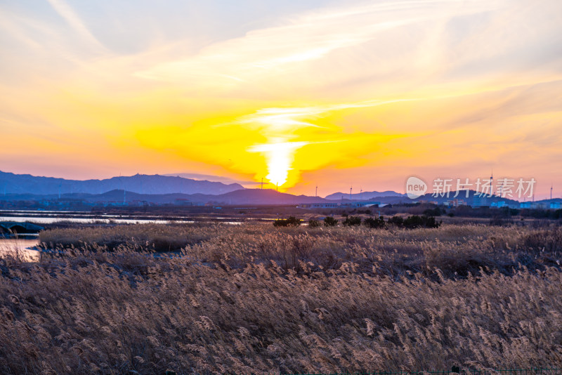 夕阳下的芦苇荡与远山景观