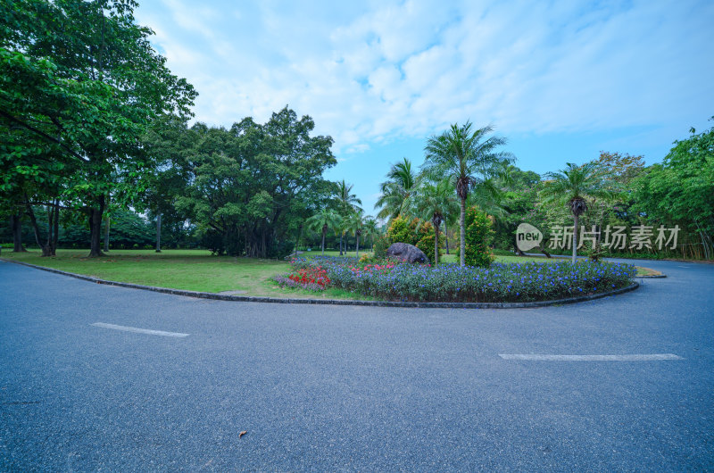 广州南沙蒲洲花园草坪树林与公路