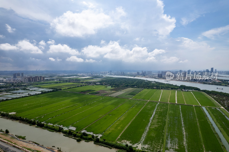 广州南沙区珠江街道