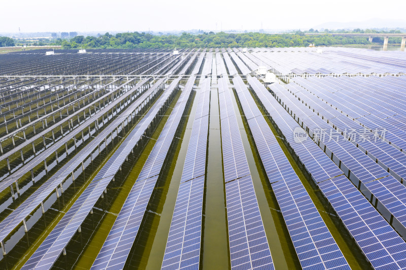 鱼光共生太阳能板 清洁能源助力绿色发展