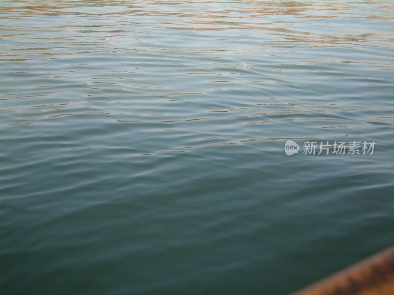 西湖的水面近景