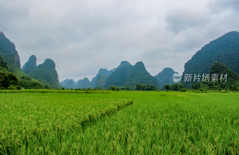 桂林阳朔遇龙河风光