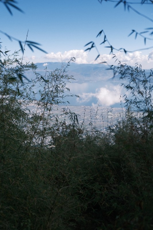 透过竹林远眺山水城市景观