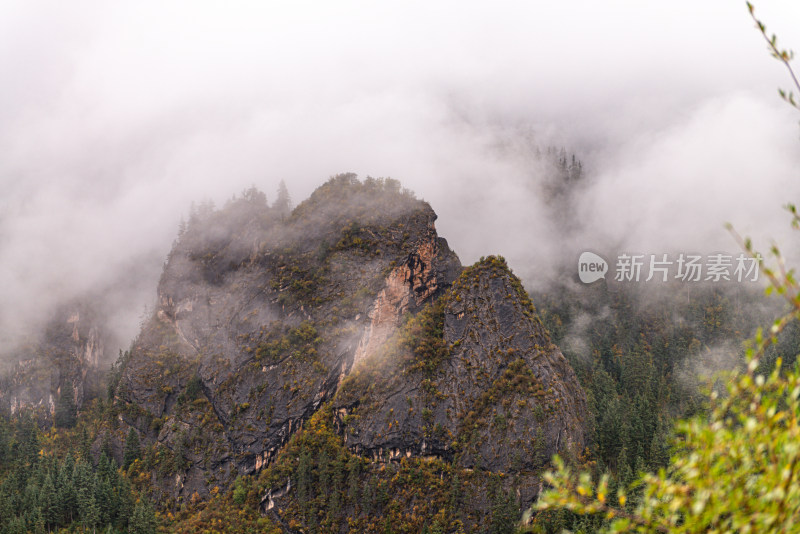 云雾缭绕的森林山峰