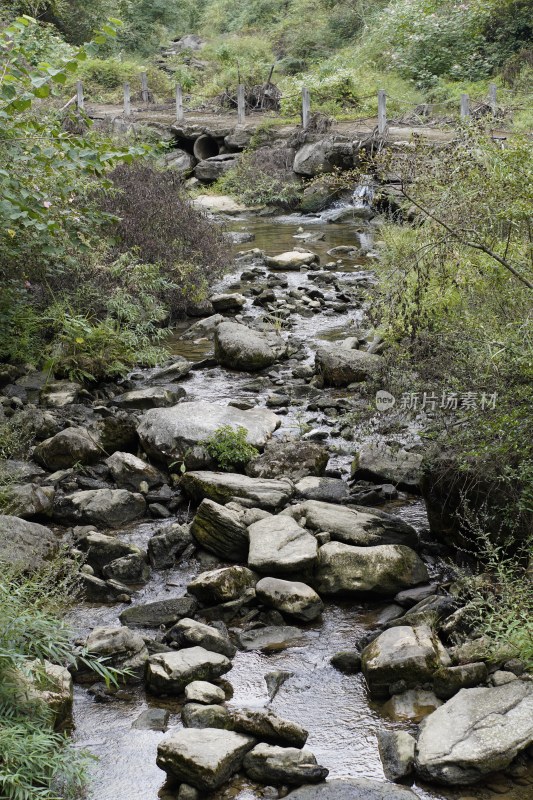 山间溪流与石块植被景观