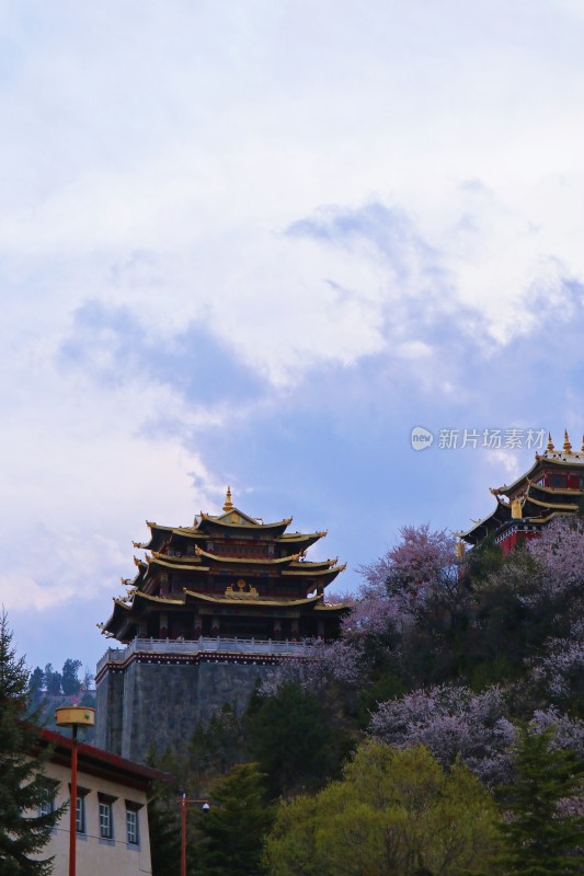 独克宗古城大佛寺