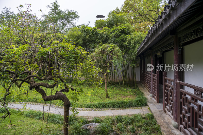 杭州西湖景区文澜阁风景