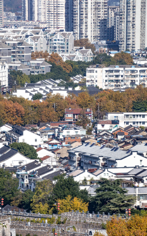 南京城市建筑与自然景观融合全景