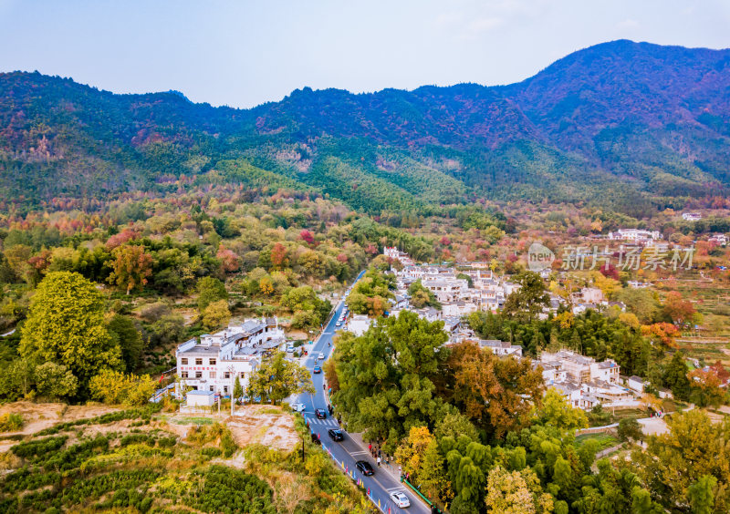 深秋安徽黄山市塔川秋色风光