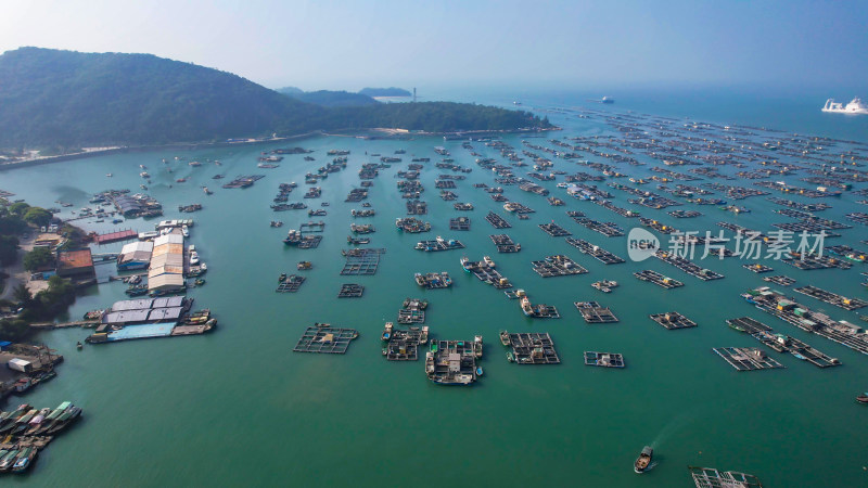 蓝色海洋大海海鲜养殖基地航拍