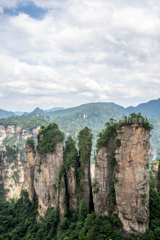 中国湖南张家界景区奇特山峰与茂密森林