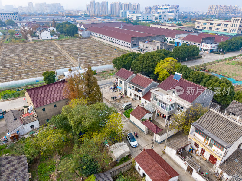 苏州农村房屋建筑航拍图