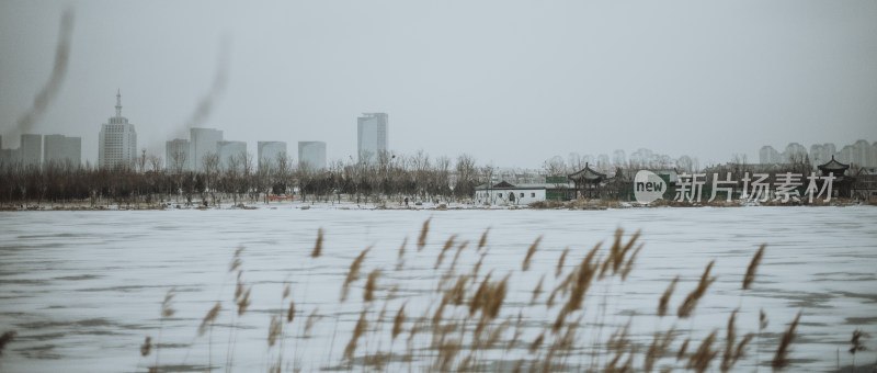 天津市水西公园 冬天雪景