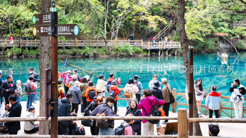 四川九寨沟景区游玩拍照的游客