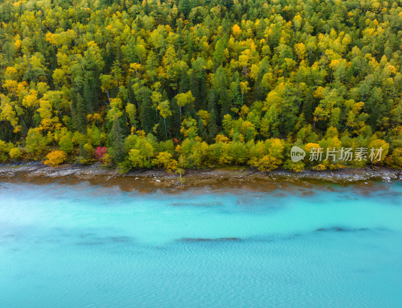 航拍新疆喀纳斯秋景