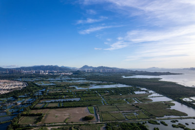 香港米埔自然护理区