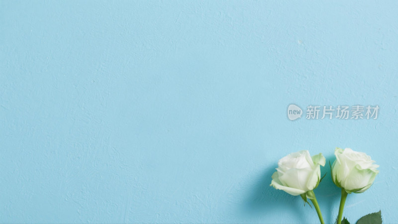 简约纯色背景肌理感质感壁纸