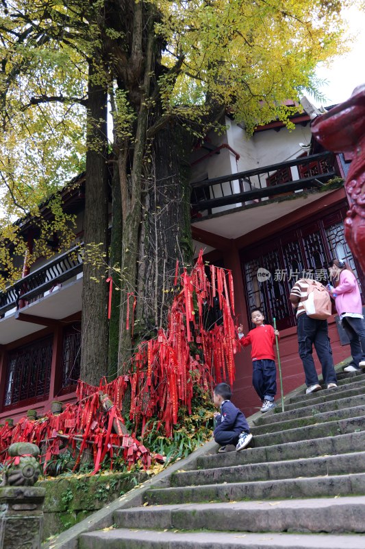 古建筑旁大树下人们祈福场景