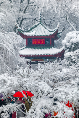 爱晚亭雪景