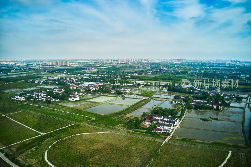 上海的农村风貌
