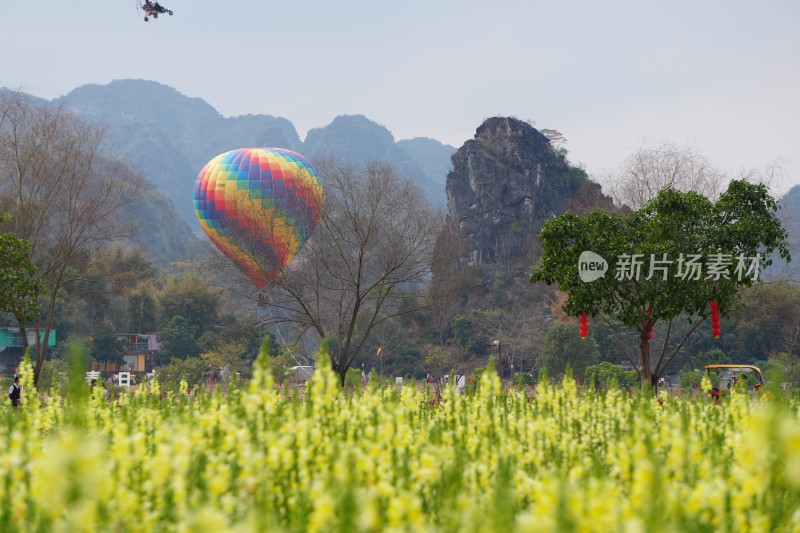 金鱼草缤纷花海