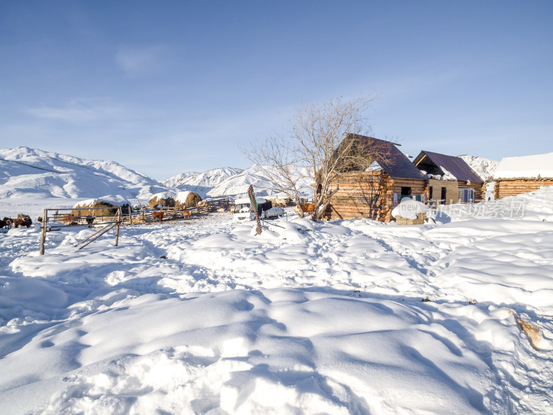 新疆阿勒泰白哈巴村冬季雪景