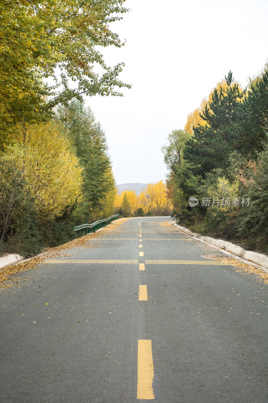 秋天的乡村公路