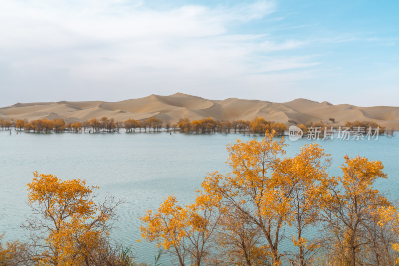 秋天的新疆尉犁县葫芦岛风景