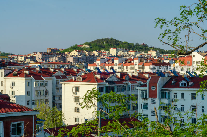 城市居民区与远处山丘景观