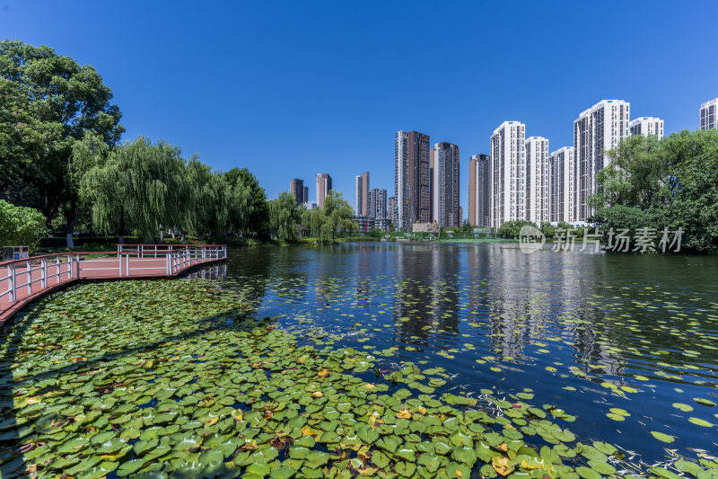 武汉武昌区内沙湖公园风景