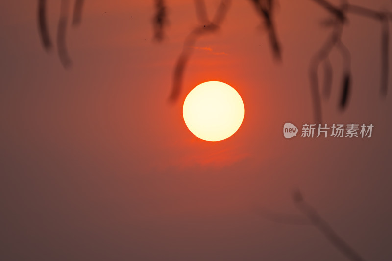 黄昏时的夕阳