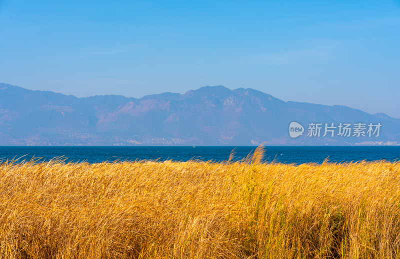 云南抚仙湖旅游美景漂亮