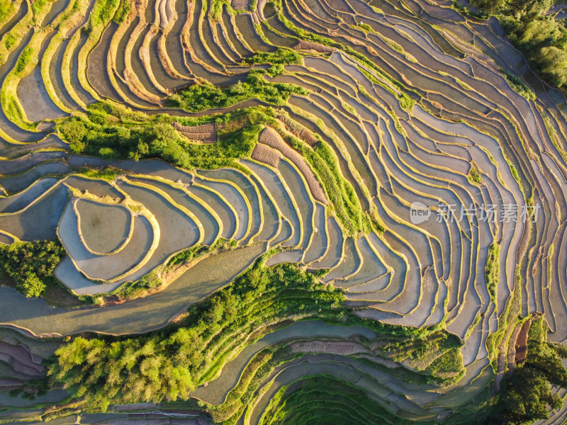 农村梯田风光