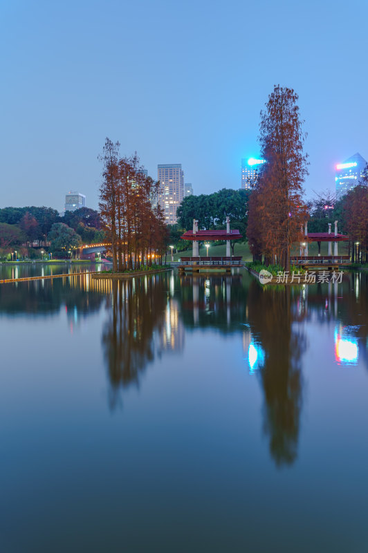 佛山千灯湖公园落羽杉红叶与城市夜景灯光