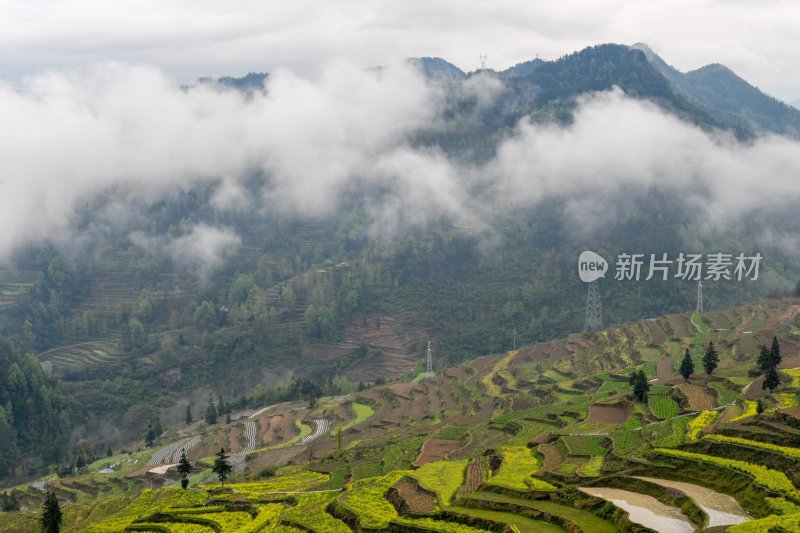 重庆酉阳：青山雾漫别样美