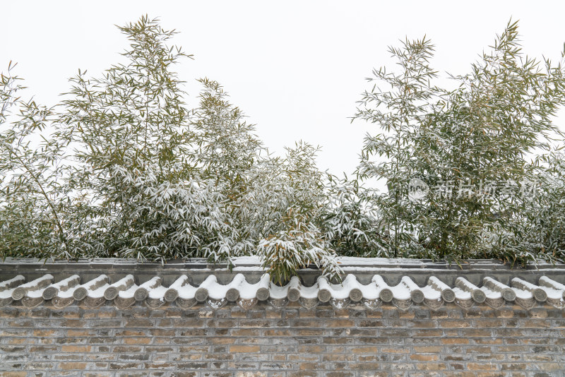 青砖墙竹子雪景