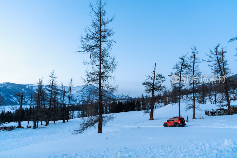 新疆喀纳斯雪晨雾雪山森林雾凇