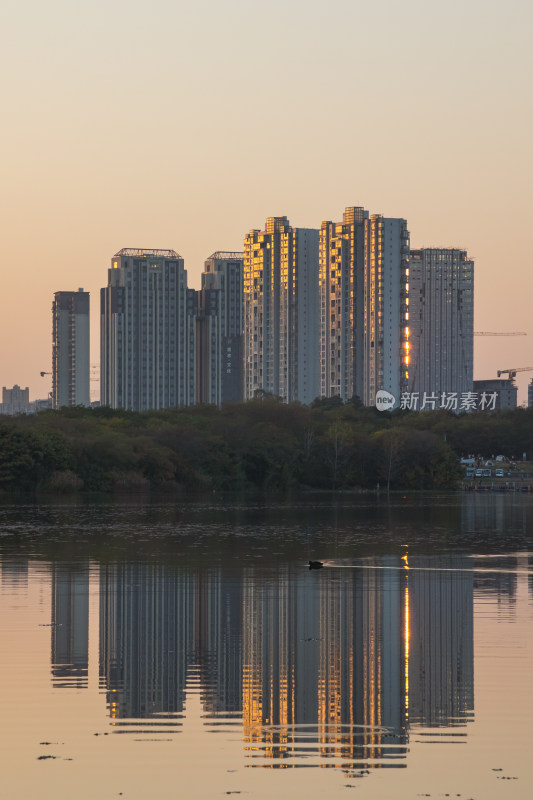 成都青龙夕阳下湖水面倒影下的房屋建筑