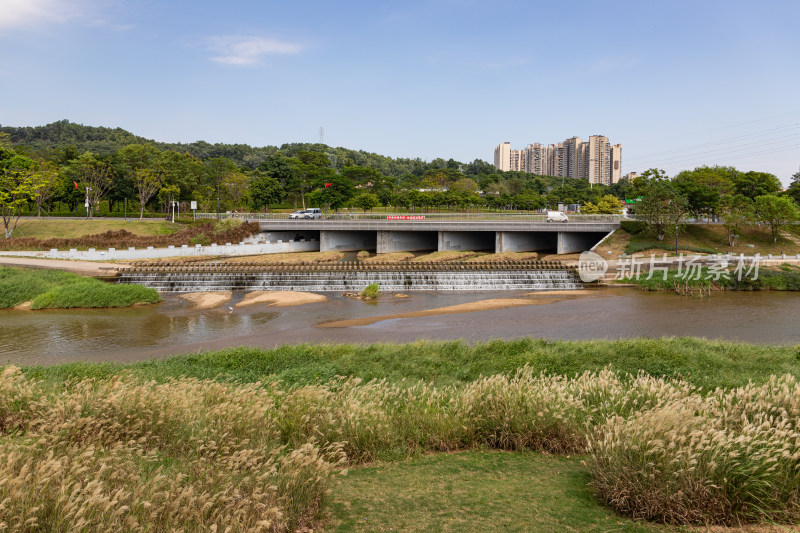 深圳茅洲河碧道光明区段