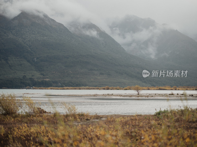 新西兰Glenorchy格林诺奇湖边小树