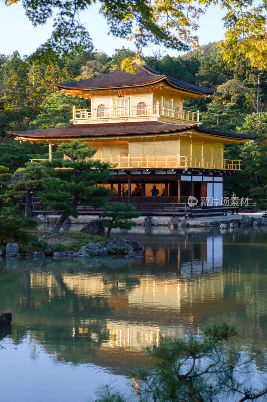 日本京都金阁寺金色舍利殿近景特写